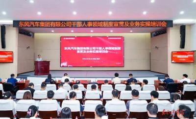 公司干部人事领域制度宣贯及业务实操培训举行