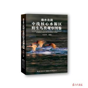 新书推介：《野生鸟类观察图鉴》 （作者 刘洪军）