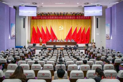 东风汽车研发总院智能化党委召开第一次党员代表大会