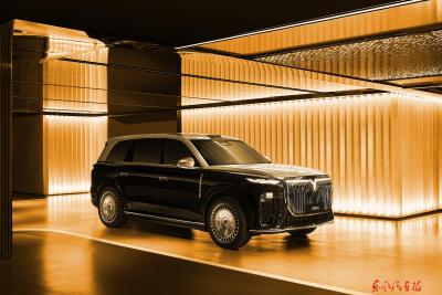 岚图泰山展车到店