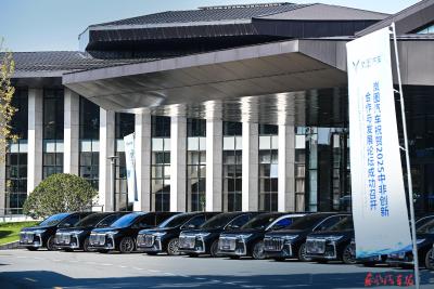 岚图汽车助力2025中非创新合作与发展论坛