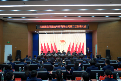 东风德纳车桥召开第二次团员代表大会