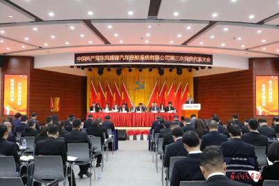 中共东风延锋汽车座舱系统有限公司第三次党员代表大会召开