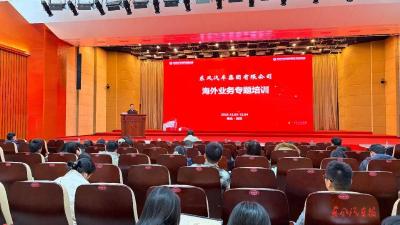 公司开展海外业务专题培训