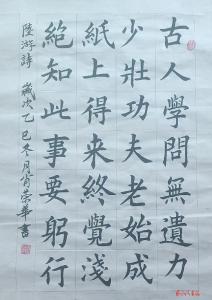 陆游诗 （楷书 作者 肖荣华）