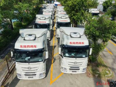 东风商用车批量交付厦门冷链物流