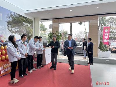 车主的认可，是服务最好的答卷——四川东风南方春节暖心服务纪实