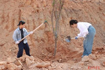 种下春天的希望