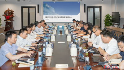 岚图汽车党委与东风汽金党委开展党建共建