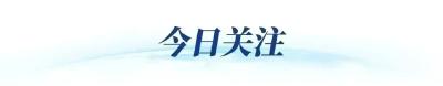 投票测试