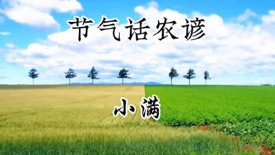 节气话农谚-小满