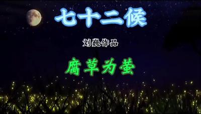 大暑初候-腐草为萤