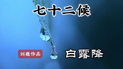 立秋二候-白露降