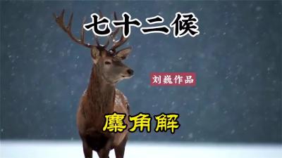 冬至二候-麋角解@七十二候