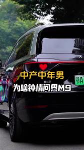 中产中年男为啥钟情问界M9@董涛说车