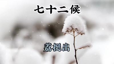 大雪三候-荔挺出