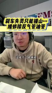 刹车失灵只能撞山......维修接反气管油管@江楠说车