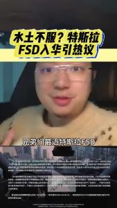水土不服？特拉斯FSD入华引热议@江楠说车