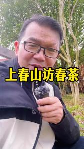 上春山访春茶@林木先生的茶