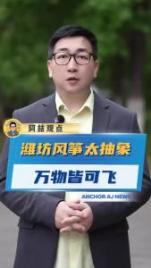 潍坊风筝太抽象，万物皆可飞@阿喆观点