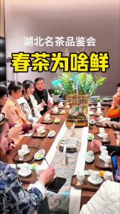 春茶为啥鲜？@林木先生的茶