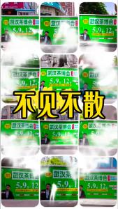 不见不散@林木先生的茶