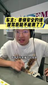 车主：要保安全的话，智驾我就不能用了？@江楠说车