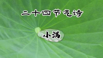 小满@二十四节气诗