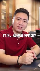 咋说，奥迪取消电动？@董涛说车