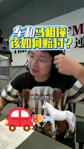 车和马相撞，该如何赔付？@江楠说车