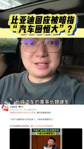 比亚迪回应被暗指“汽车圈恒大”@江楠说车