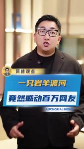 一只岩羊渡河，竟然感动百万网友@阿喆观点