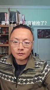 震惊了，卢浮宫被抢了？@老杨谈谈