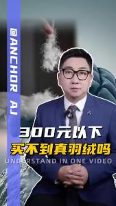 300元以下买不到真羽绒吗？@阿喆观点