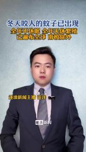 冬天咬人的蚊子已出现@逐浪新闻