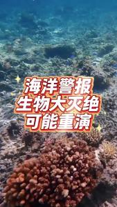 海洋警报，生物大灭绝可能重演@老杨谈谈