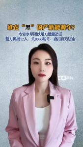 谁在“黑”国产新能源车？@逐浪新闻