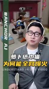 萝卜纸巾猫为何能全网爆火？@阿喆观点