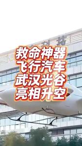 武汉光谷飞行汽车救人有望@老杨谈谈