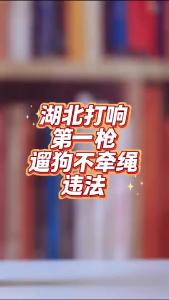 湖北打响治理违法遛狗第一枪@老杨谈谈