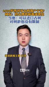 2500岁西班牙古树落户宁波？@逐浪新闻