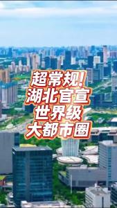 超常规！湖北官宣世界级大都市圈@老杨谈谈
