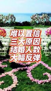难以置信三大原因，结婚人数大幅反弹@老杨谈谈