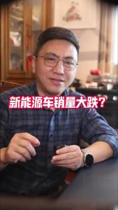 新能源车销量大跌？@董涛说车