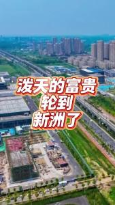 泼天的富贵轮到新洲了@老杨谈谈