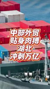 中部外贸贴身肉搏，湖北冲刺万亿@老杨谈谈