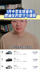 1月中型车销量榜：燃油车的坚守与僵局@江楠说车