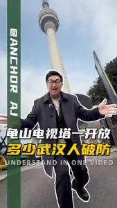 龟山电视塔一开放，多少武汉人破防@阿喆观点