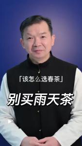 别买雨天茶@林木先生的茶