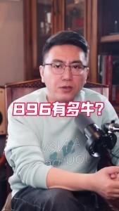 896有多牛？@董涛说车